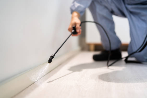 Licensed Fumigation Services service in Missaukee County County, MI - Nex Pest Control
